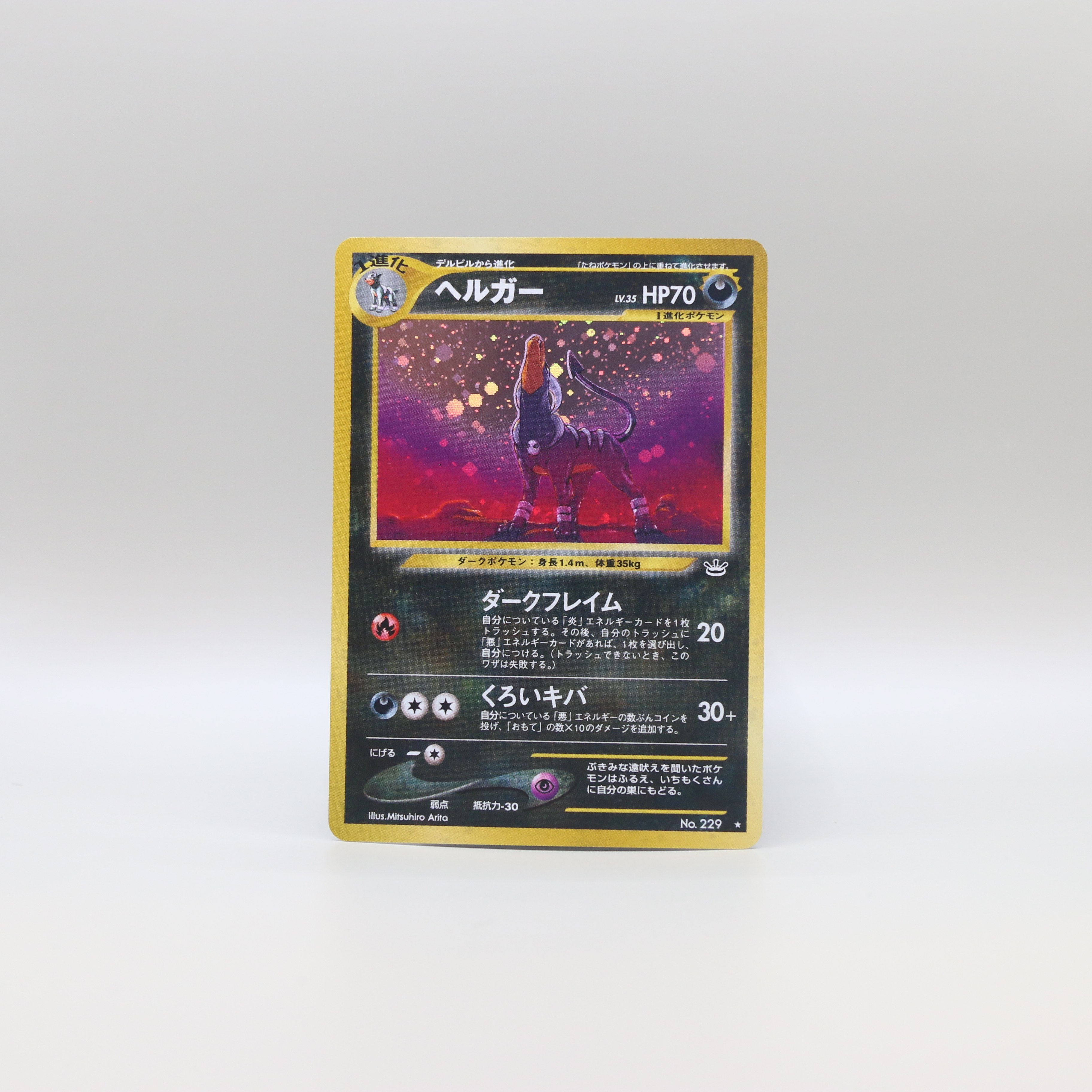Houndoom thumbnail 13
