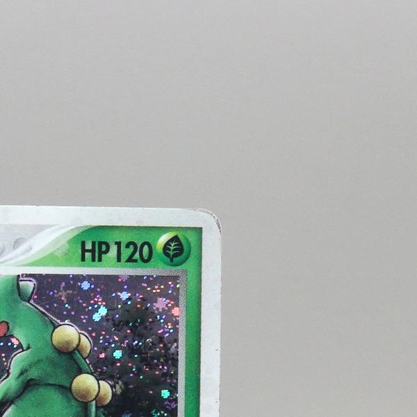 Sceptile thumbnail 5