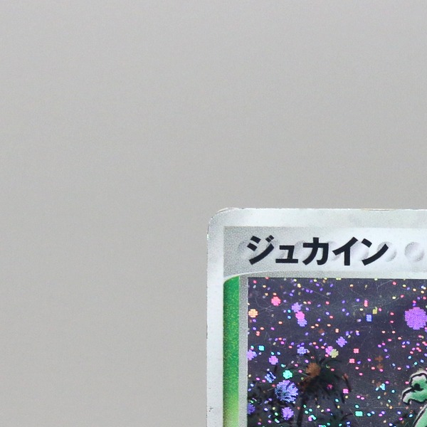 Sceptile thumbnail 4