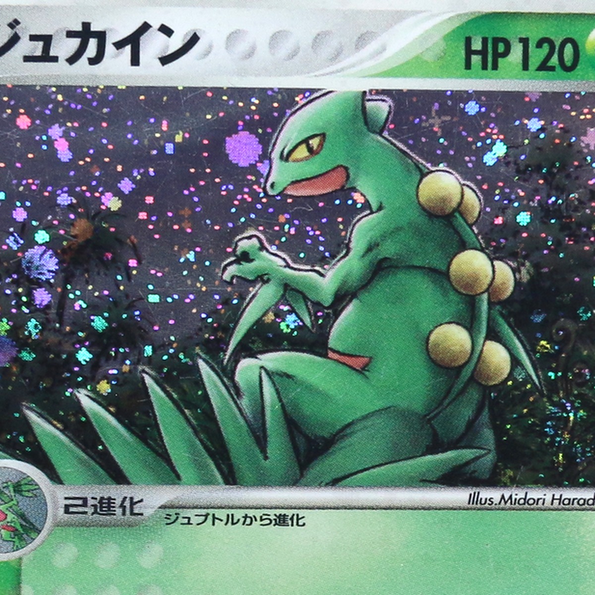 Sceptile thumbnail 3