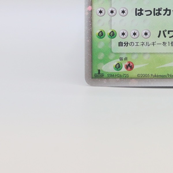 Meganium ex thumbnail 6