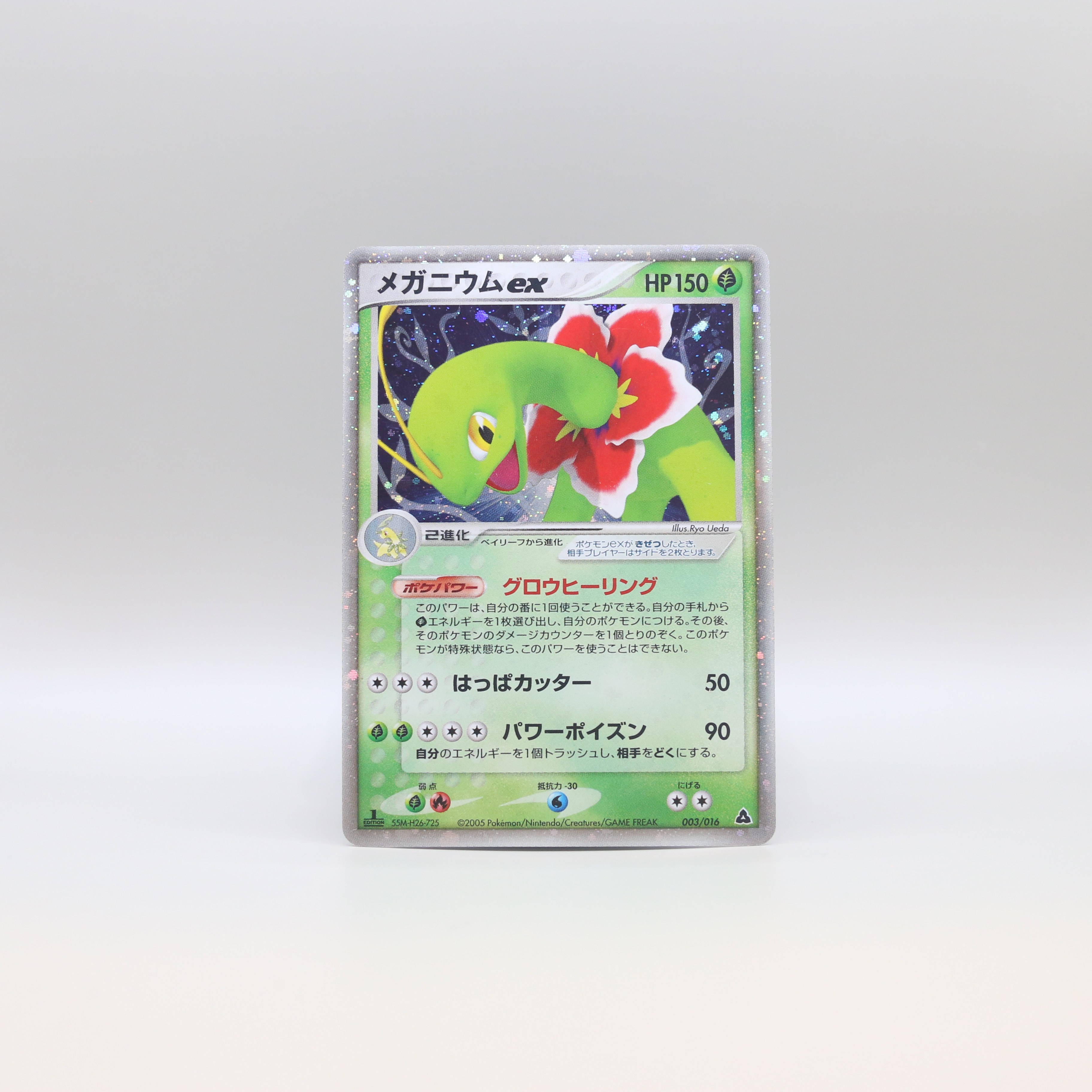 Meganium ex thumbnail 13