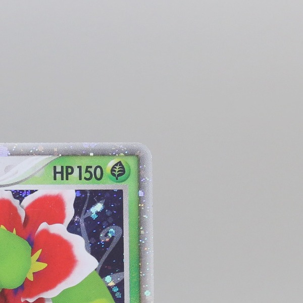 Meganium ex thumbnail 5