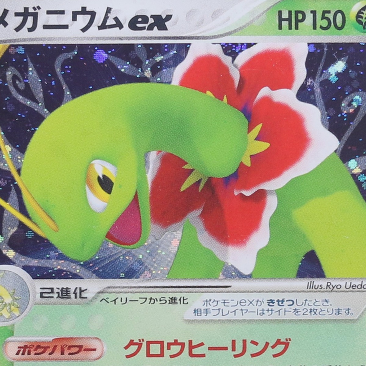 Meganium ex thumbnail 3
