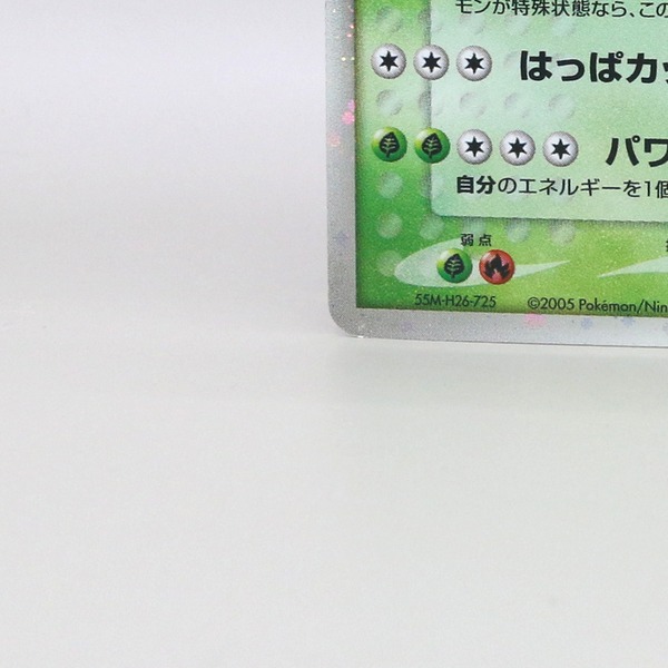 Meganium ex thumbnail 6