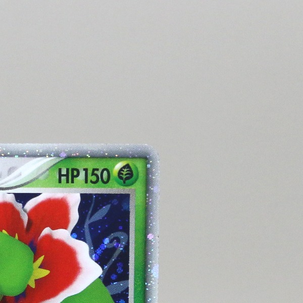 Meganium ex thumbnail 5