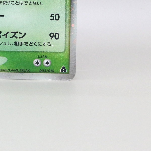 Meganium ex thumbnail 7