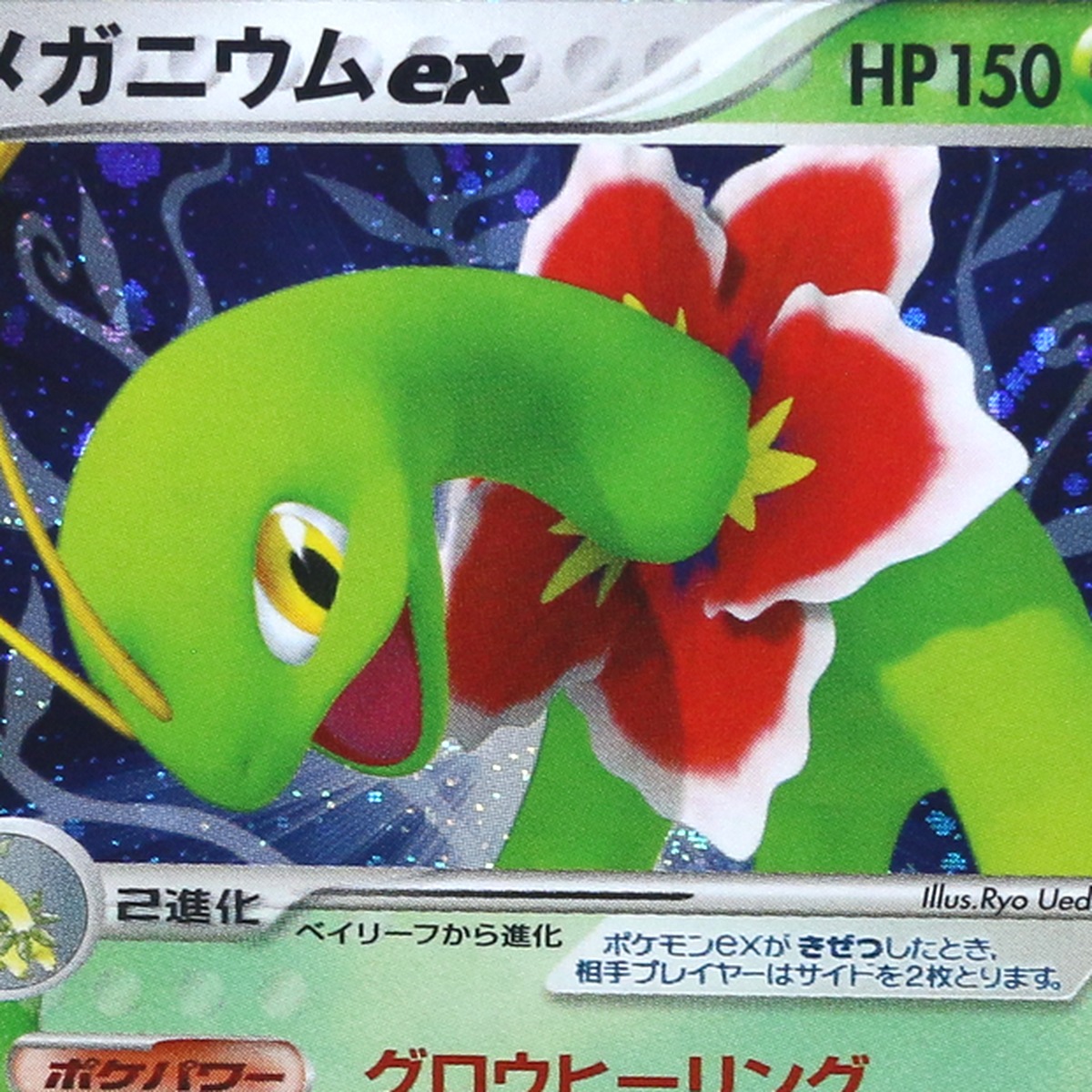 Meganium ex thumbnail 3