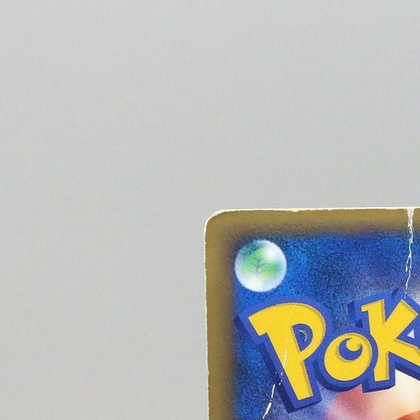 Feraligatr ex thumbnail 9
