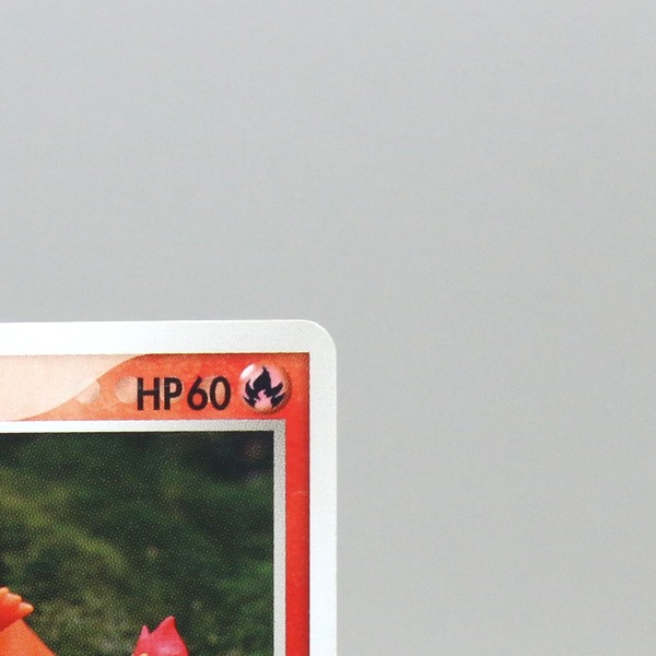 Ditto thumbnail 5